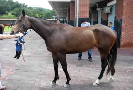 ���뽺ī�� ����