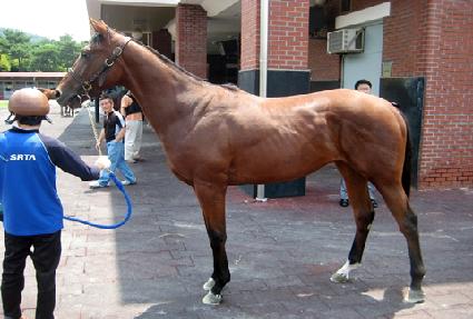 �ĺ�콺 ����