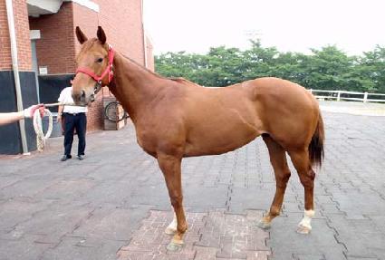 �˽��޽� ����