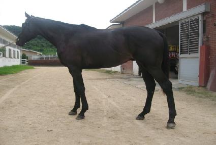 �������屺 ����