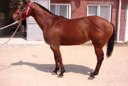 ��º��� ����