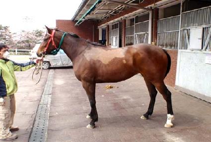 ����� ����