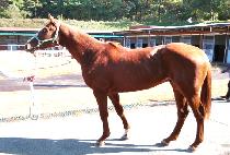 ���ջ� (SEONWANGSAN) ����