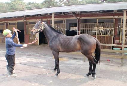 ���� ����