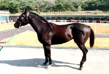 ����¯ ����