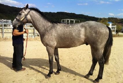 �ΰ氶���� ����