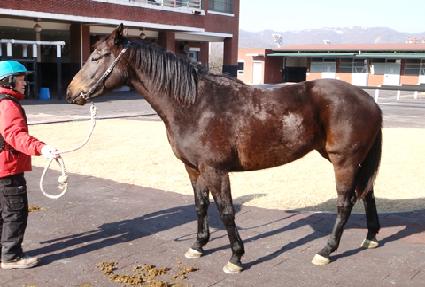 �����ô� ����