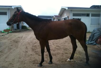 �����̺� ����