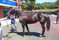 �漱ǳ (HEUKSEONPUNG) ����