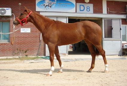 ��ȣ�� ����