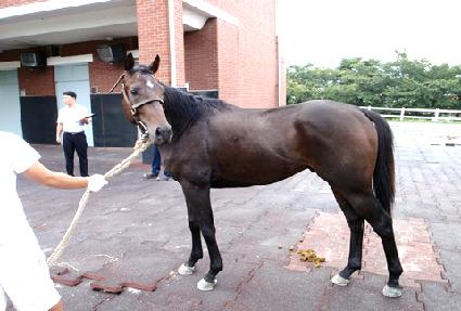 ���� ����