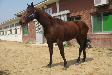 �������� ����