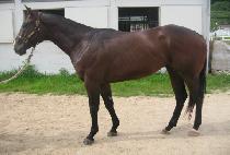 �������� (DAEJI YEONGUNG) ����