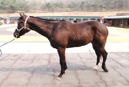 �ɸ��� ����