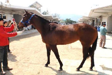 ��ÿ��ϵ� ����