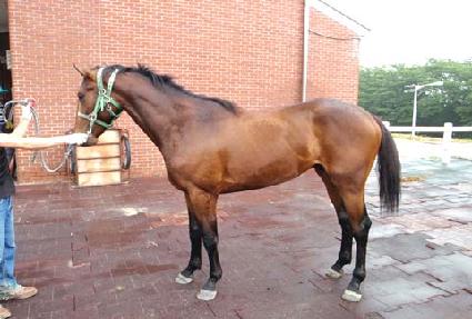 ��ũ������ ����