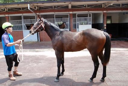 Ȧ������ ����