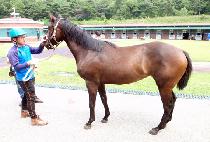 Ȧ����Ƽ (HOLY PARTY) ����