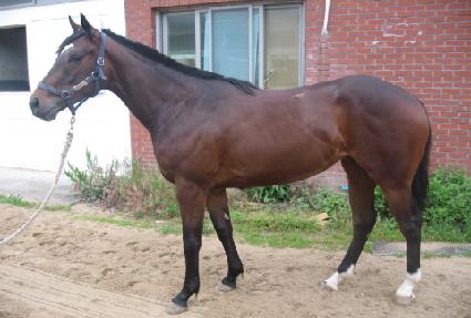 ����ũ��� ����