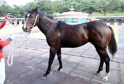 ��ุ�� ����