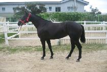 �������� (REGISTER) ����