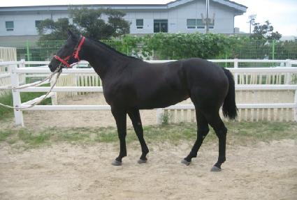 �������� ����