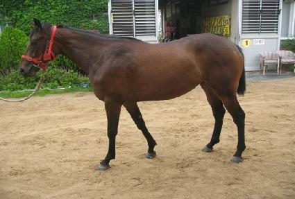 �����Ǻ� ����