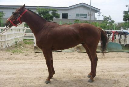 ��ũ������ ����