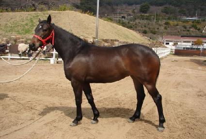 �����ǰ��� ����