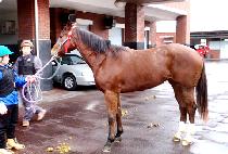 ��â (BEONCHANG) ����