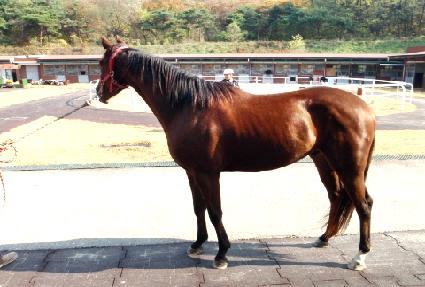 ȭ��è�Ǿ� ����