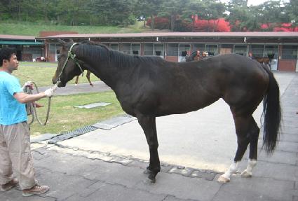 ������ ����