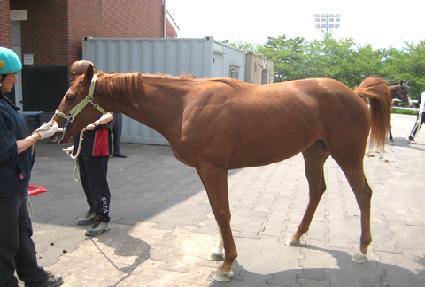 �ƶ�ġ ����