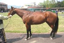 �Ŷ󺸰� (SILLABOGEOM) ����