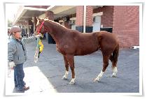 ��۾�ħ (GIPPEUNACHIM) ����