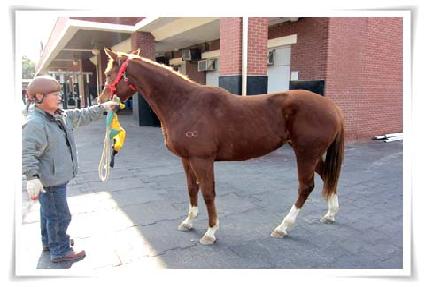 ��۾�ħ ����