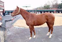 ŵ����Ʈ (KEEP BEST) ����