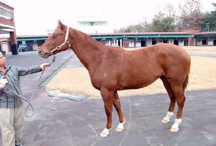 ŵ����Ʈ ����