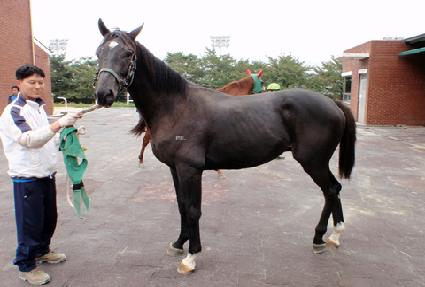 �ؾϴ��� ����