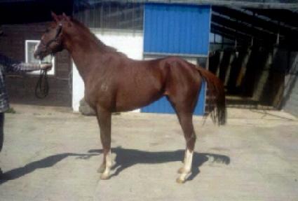 �׷���ī��� ����