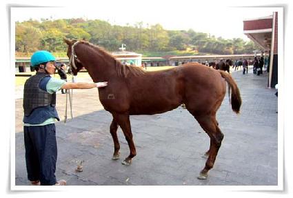 �������˵� ����