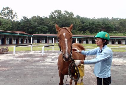 ����� ����