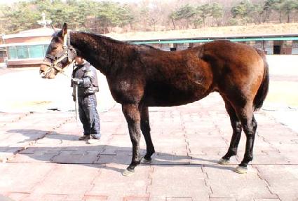 �Ӵ����� ����