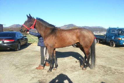 �ο��Ӻ극�̽� ����