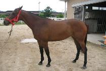 ��ǰź�� (MYEONGPUM TANSAENG) ����