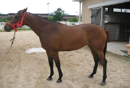 ��ǰź�� ����