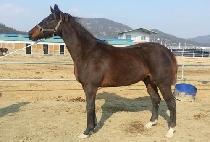 �ְ����� (CHOEGO CHANSA) ����