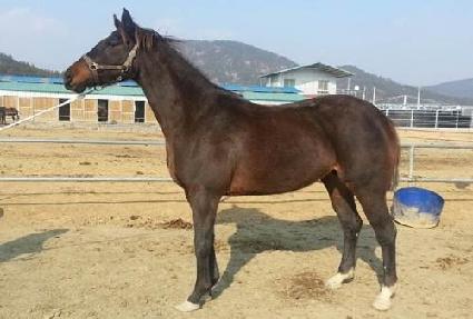 �ְ����� ����