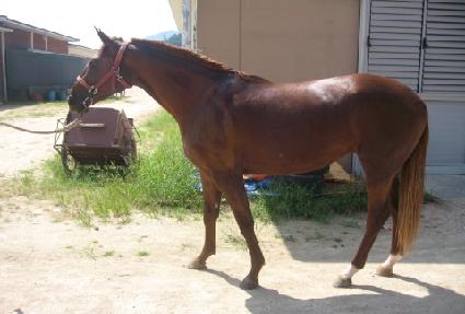 ���� ����