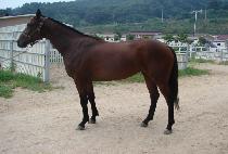 �����극�� (QUEEN OF RAIN) ����